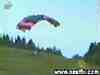 Att�rissage sur une vache - 489Ko